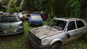 abandoned cars in a forest