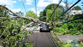 A car crushed under a tree and power lines after Tropical Storm Isaias