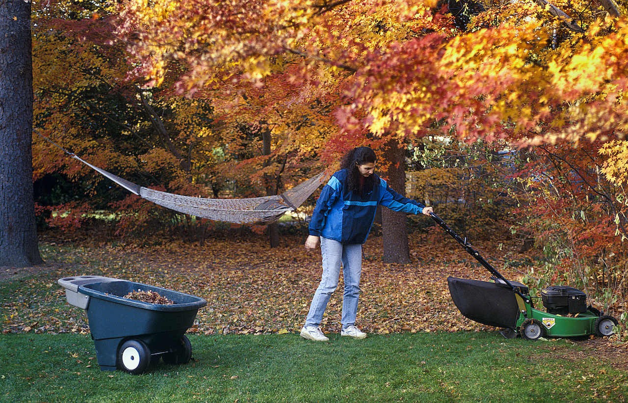 Woman cutting the lawn in autumn