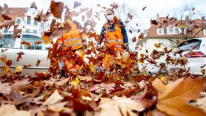 two people using leaf blowers to clear dead leaves and not to clean their cars