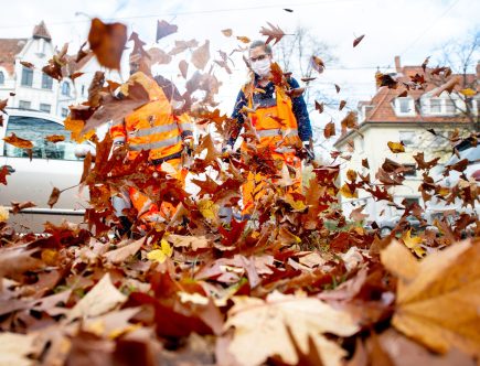 Are You Using a Leaf Blower to Clean Your Car?