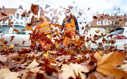 Are You Using a Leaf Blower to Clean Your Car?