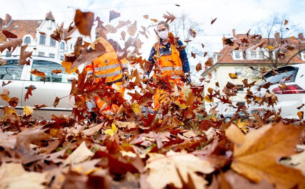 two people using leaf blowers to clear dead leaves and not to clean their cars