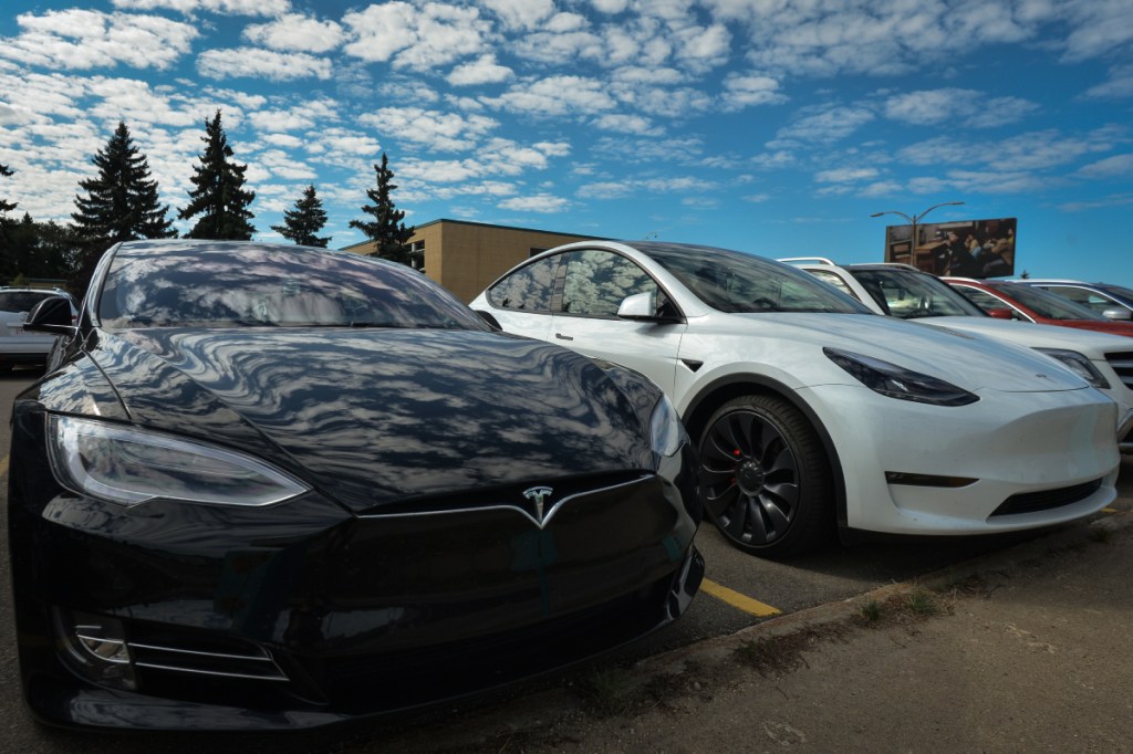 Elon Musk brought Tesla to New Mexico after all