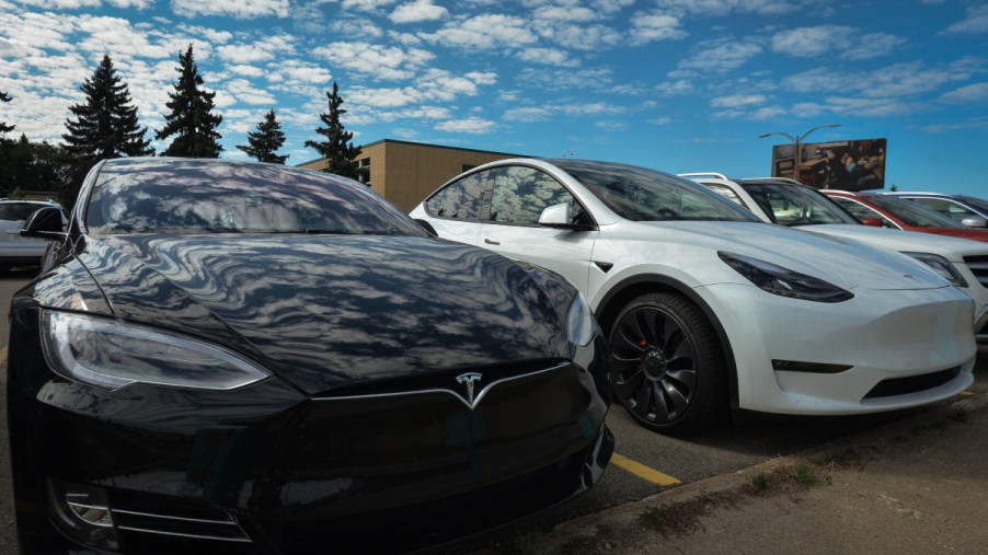 Elon Musk brought Tesla to New Mexico after all