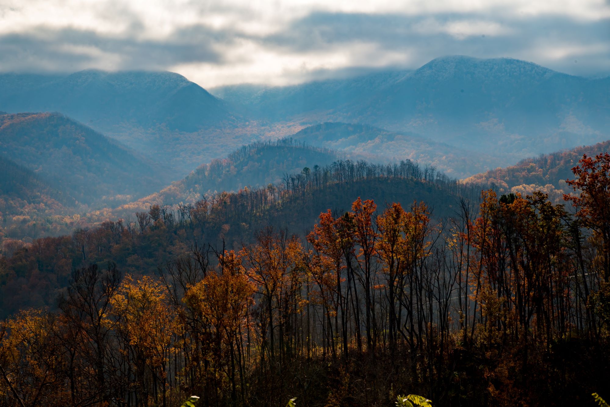 A beautiful scene of the rolling hills of the Smoky Mountains in the fall on a cloudy day.