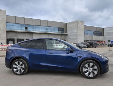 What Is It Like to Own a Tesla Model Y?