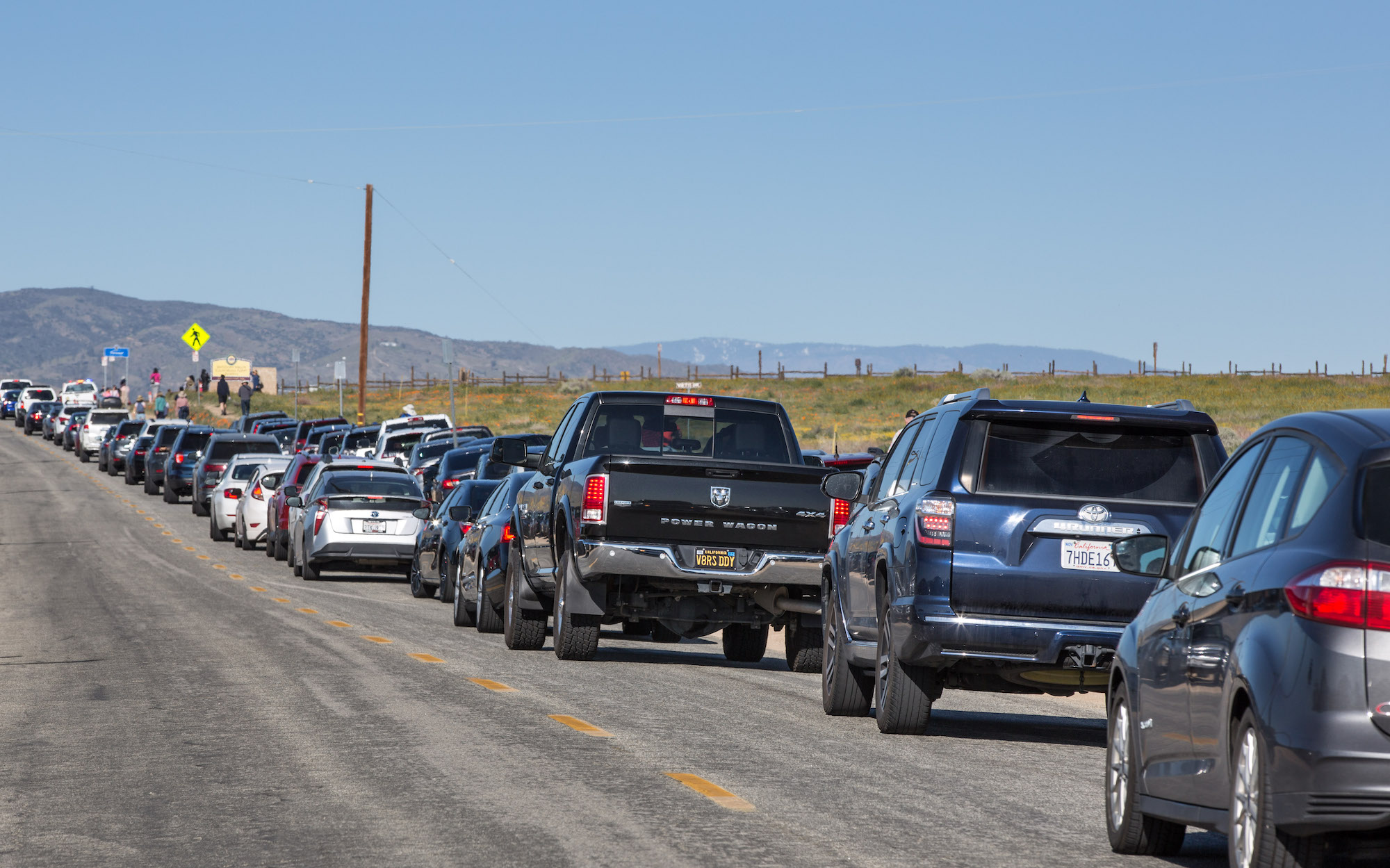 Cars sit in a line of traffic at the Antelope Valley Poppy Preserve one hour north of Los Angeles in March 2019