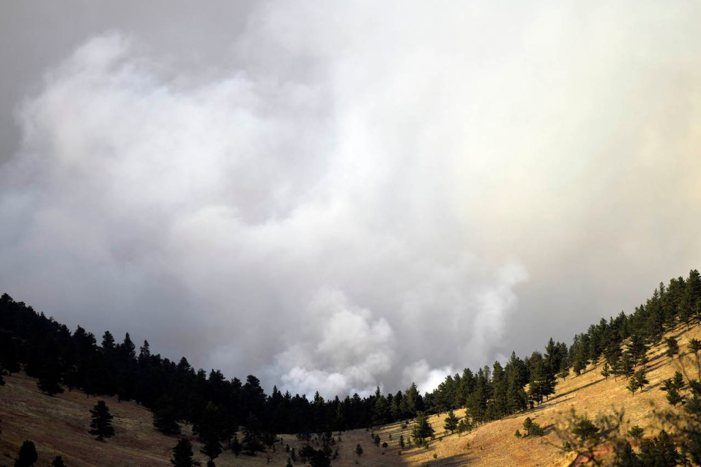 A roaring wildfire burns on a hillside sending up a large plume of smoke 