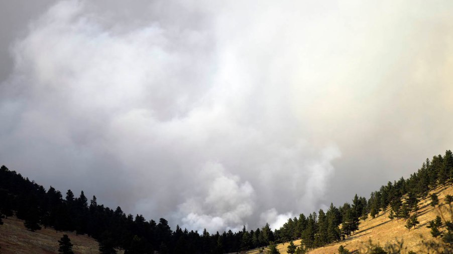 A roaring wildfire burns on a hillside sending up a large plume of smoke