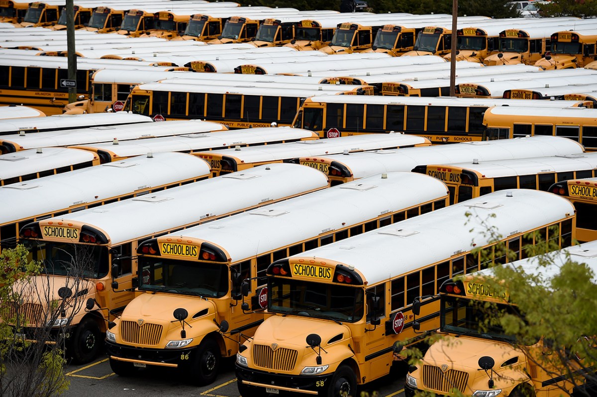 A fleet of school buses similar to those that had their catalytic converters stolen in Oregon