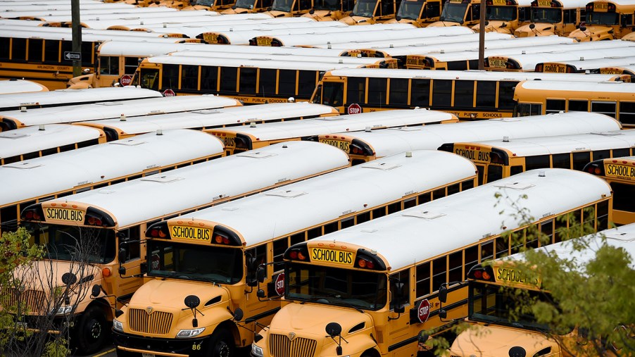 A fleet of school buses similar to those that had their catalytic converters stolen in Oregon
