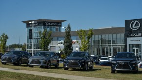 New Lexus vehicles parked outside a Lexus dealership