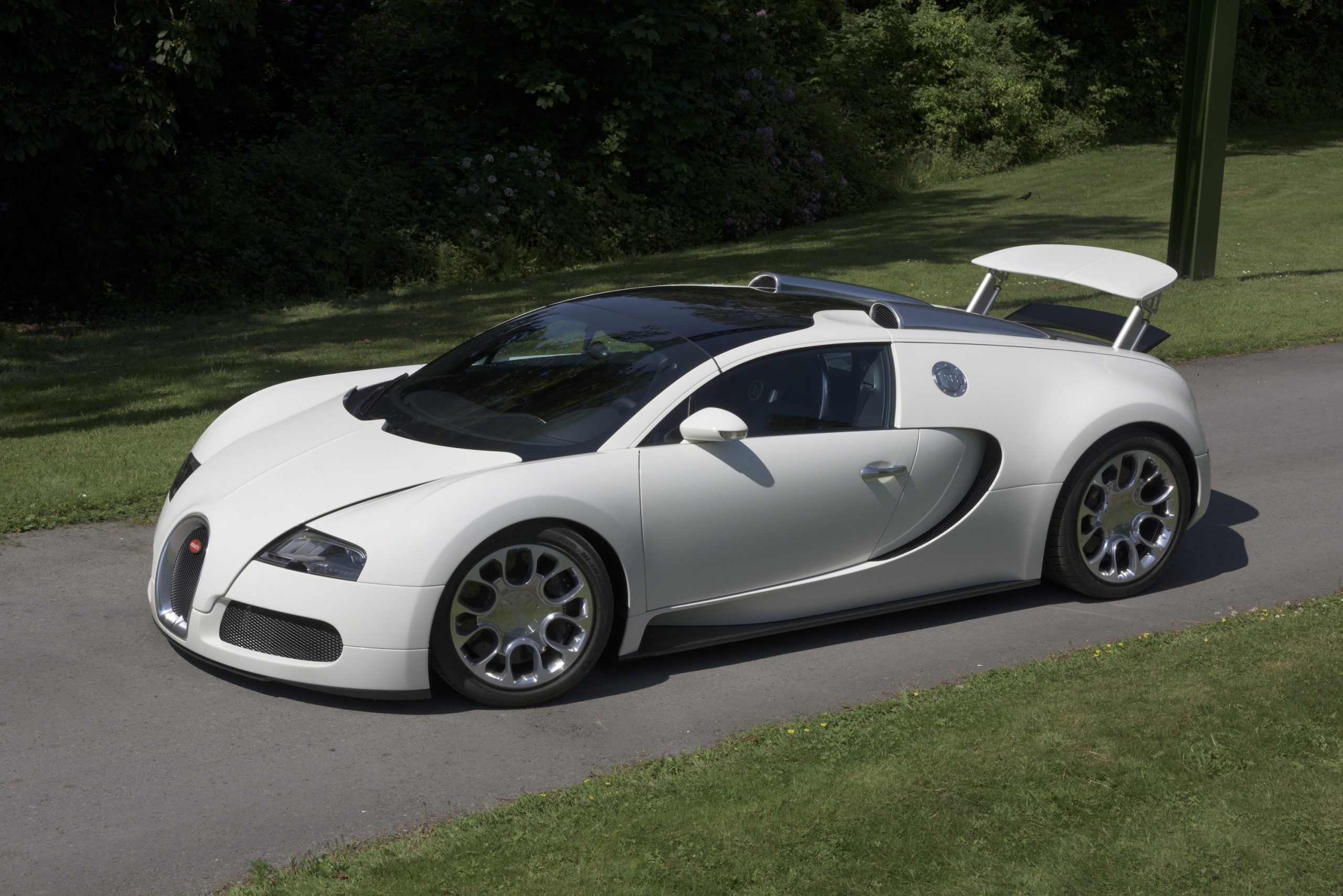 2009 Bugatti Veyron Grand Sport in white