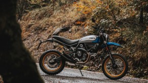 A blue-silver-and-black 2021 Ducati Scrambler Desert Sled motorcycle parked on a forest road