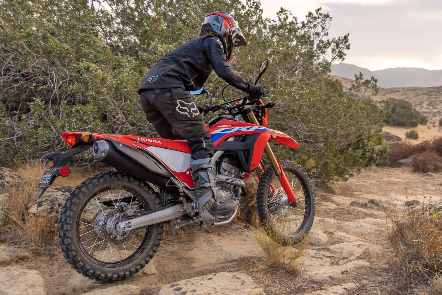 Buying Guide to the Best StreetLegal Dirt Bikes