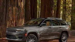 A gray 2022 Jeep Grand Cherokee parked in the woods.