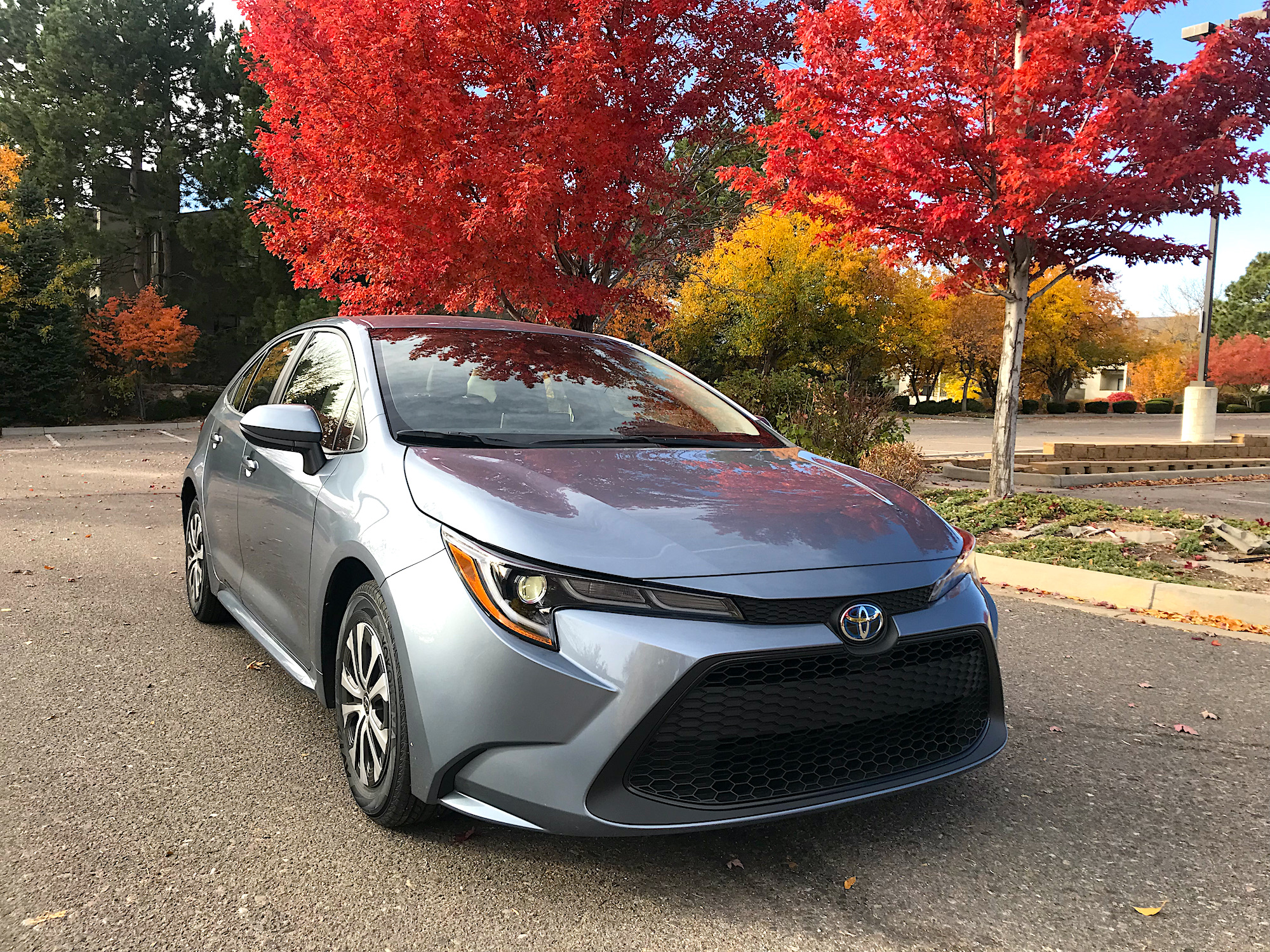 2022 Toyota Corolla Hybrid sitting next to colorful trees in a parking lot.
