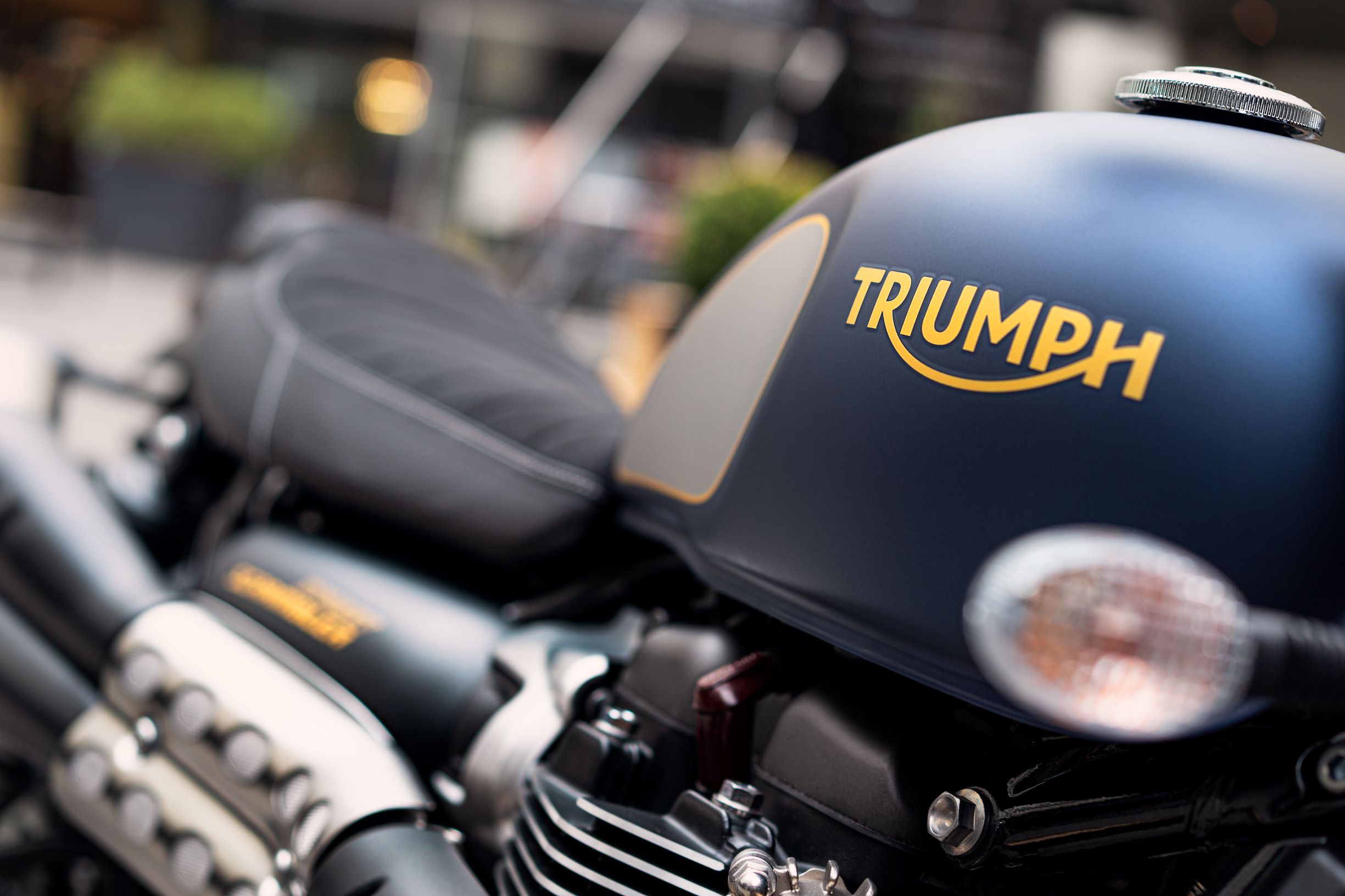 A close-up view of the 2022 Triumph Street Scrambler Gold Line's blue-silver-and-gold fuel tank