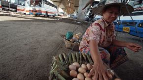 A women selling fruit below and expressway in Thailand