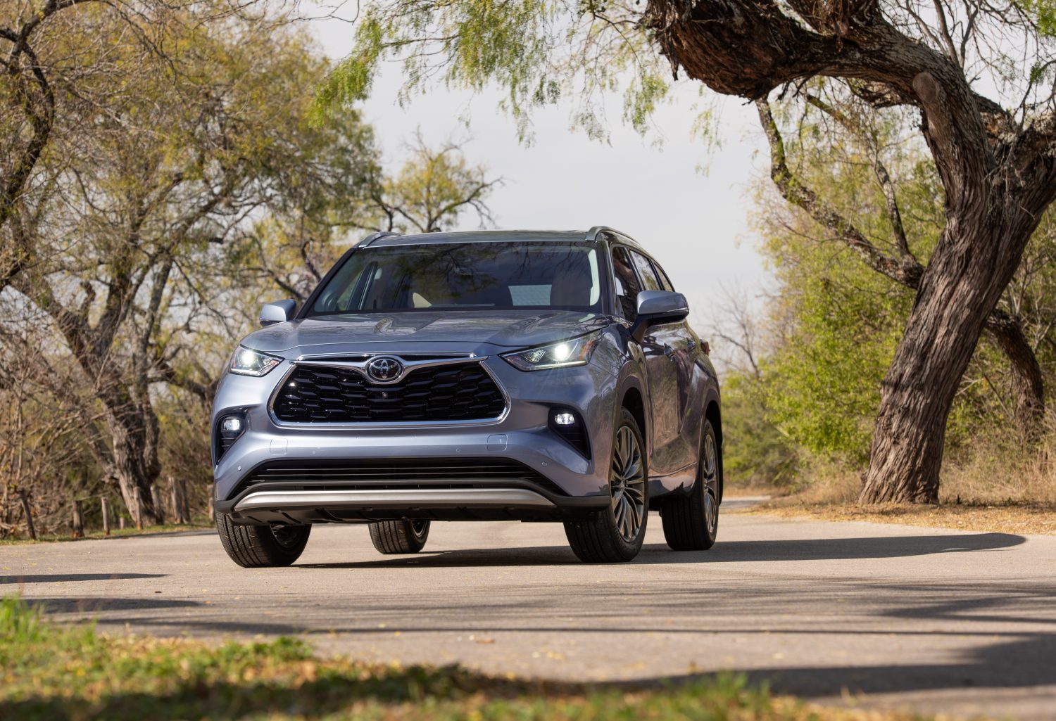 Blue-gray 2022 Toyota Highlander parked on a road