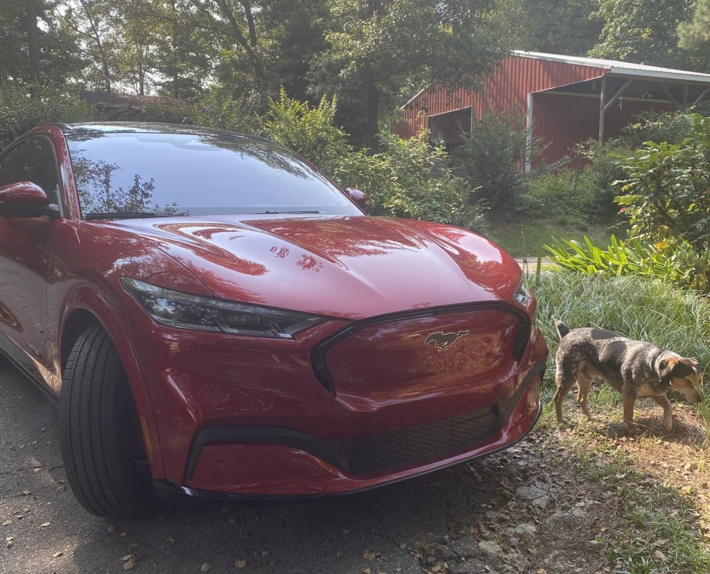 2021 Ford Mustang Mach-E First Edition near a dog and barn 