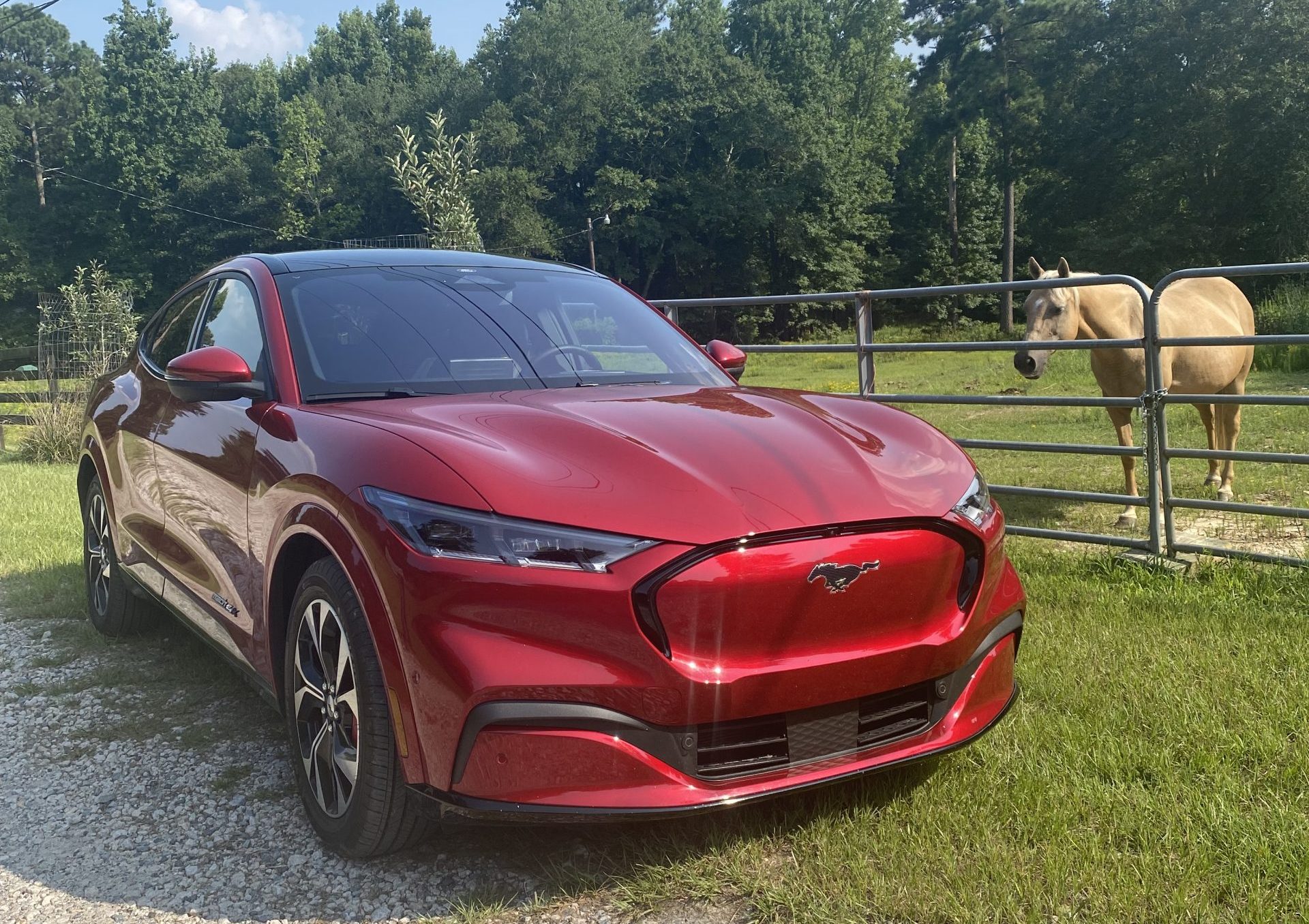 A 2021 Ford Mustang Mach-E electric vehicle to review by a horse