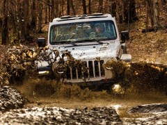 The Jeep Wrangler Crushed the Ford Bronco in the Rebelle Rally
