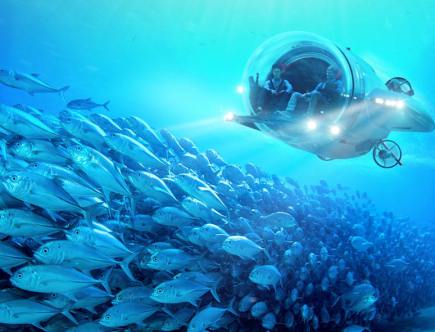 Fast Luxury Underwater: the Super Sub