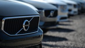 Volvos Lines Up On Dealership Lot