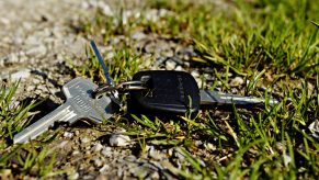 A set of car keys in the grass.
