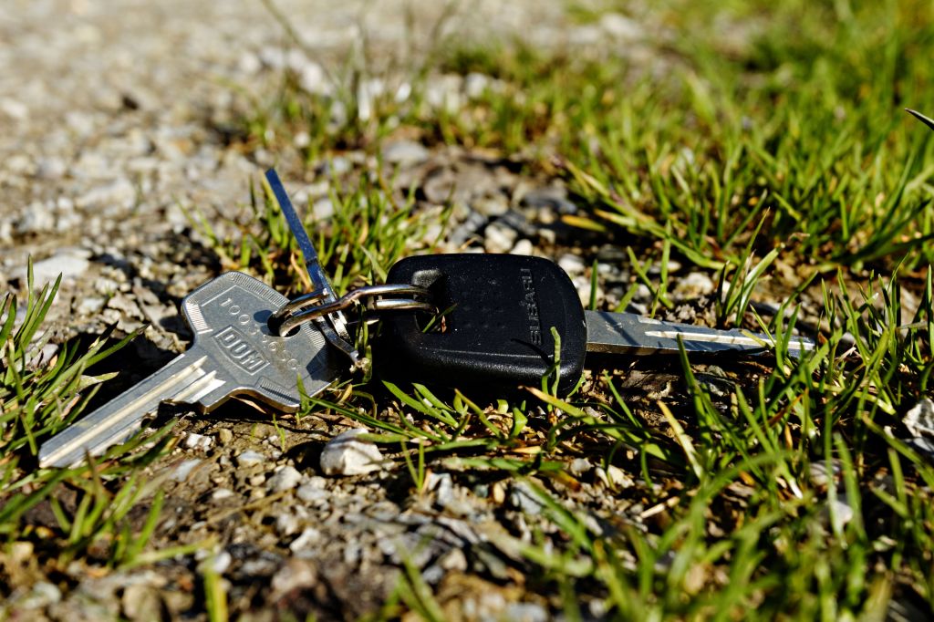 A set of car keys in the grass.