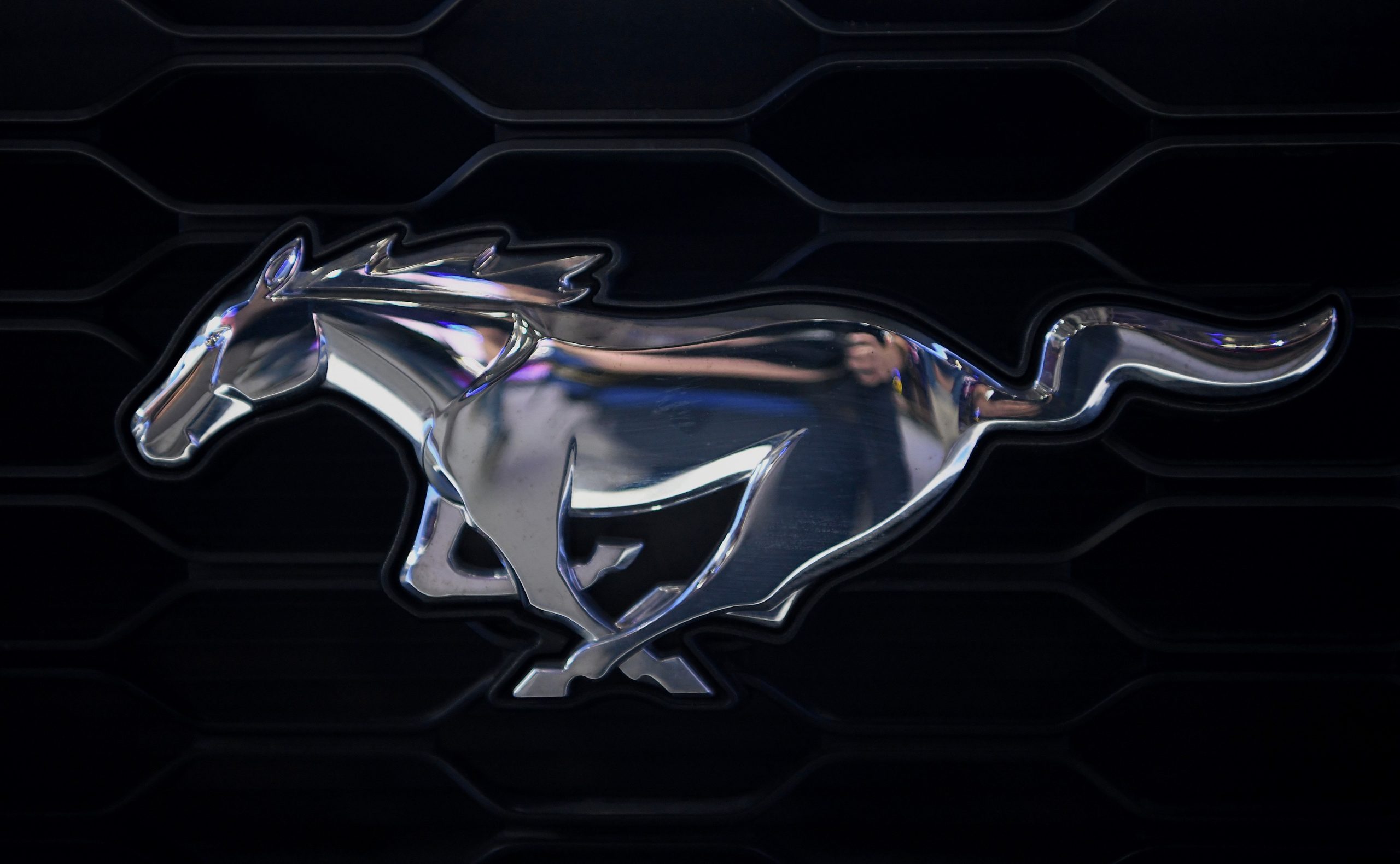 The Mustang badge