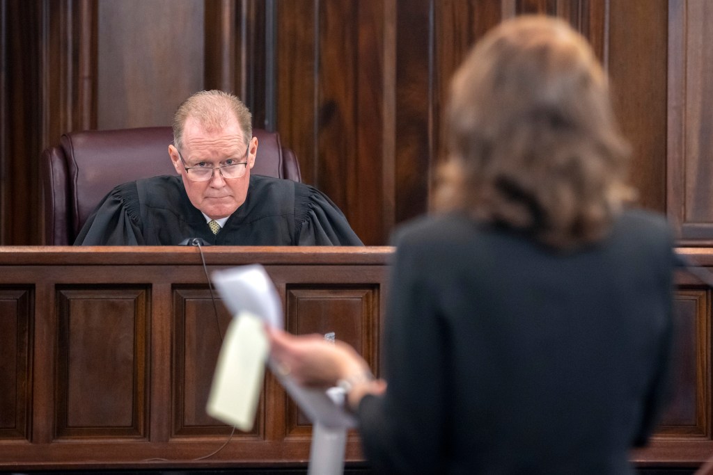  A lawyer speaks to a judge in court
