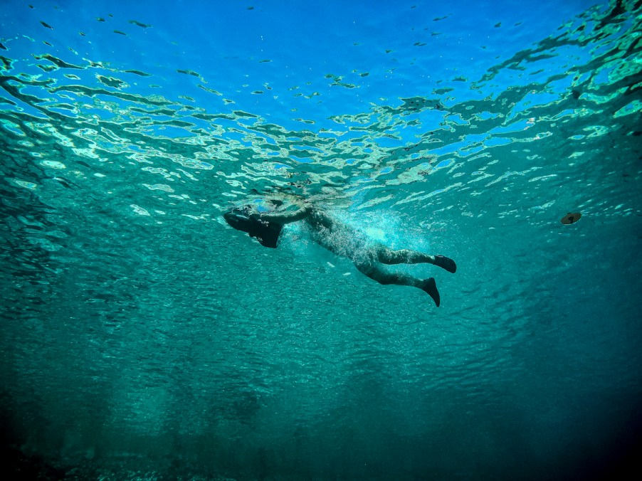 A diver swims with a sea scooter in August 2019