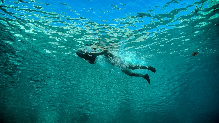 A diver swims with a sea scooter in August 2019