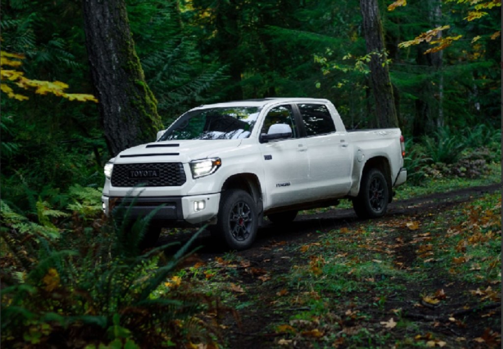 A white 2020 Toyota Tundra in the woods. 