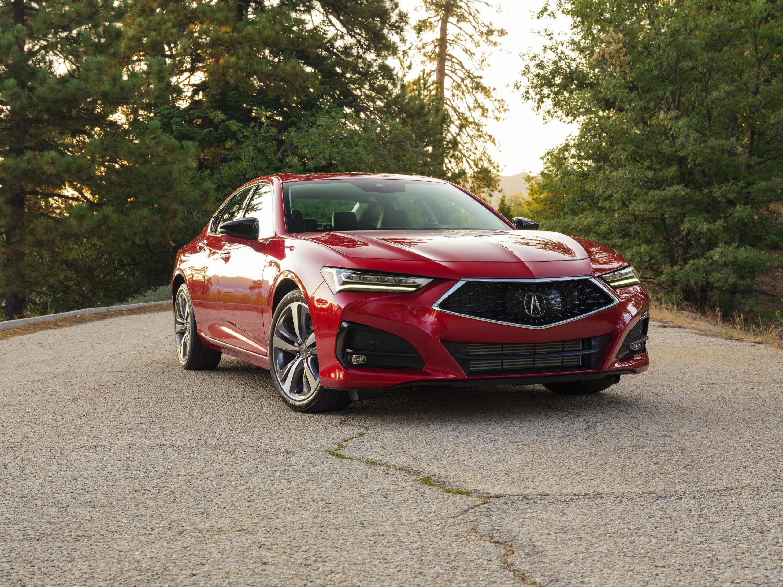 A red 2022 Acura TLX Advance in red shot from the front 3/4