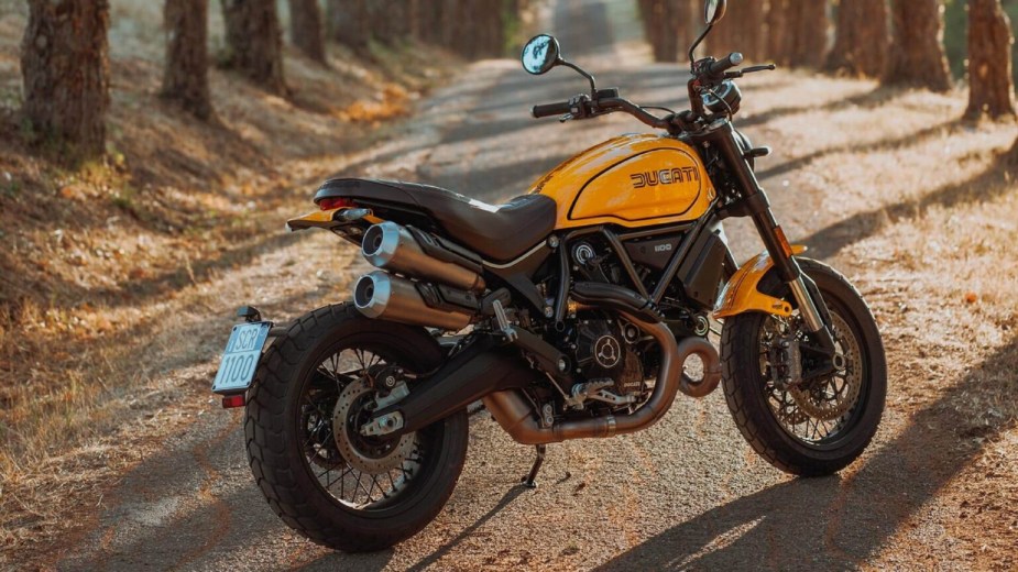 The rear 3/4 view of the yellow-and-black 2022 Ducati Scrambler 1100 Tribute Pro on a tree-lined country road