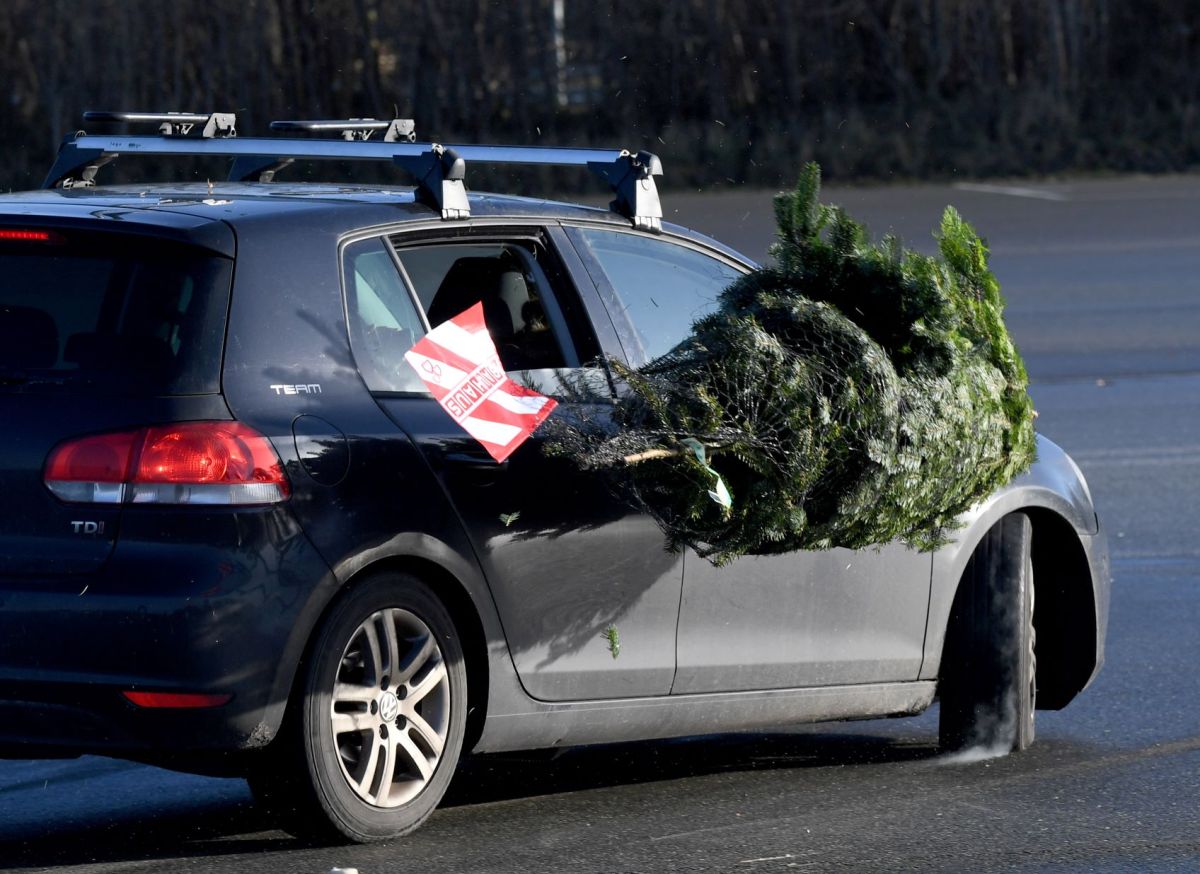 How to Tie a Christmas Tree on a Car Without It Flying off and Hitting Someone