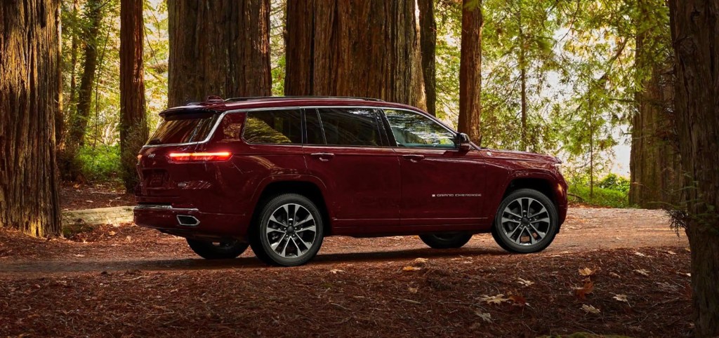 Jeep parked in the woods