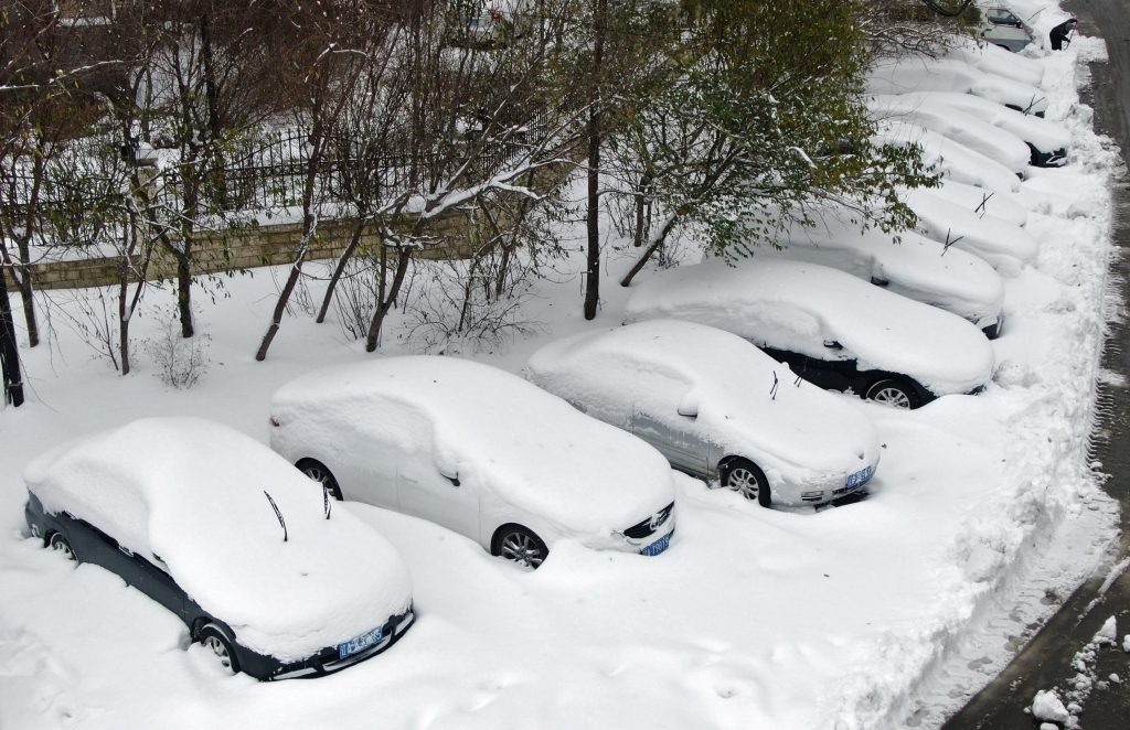 Line of cars covered in snow