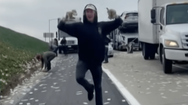 Armored Truck Rains Money on California Highway: Chaos Ensues as Drivers Scurry to Collect the Cash