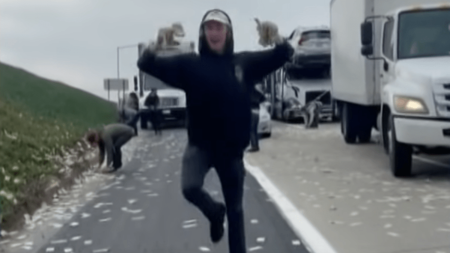 Man running with cash after armored truck rained money on a Califorina highway