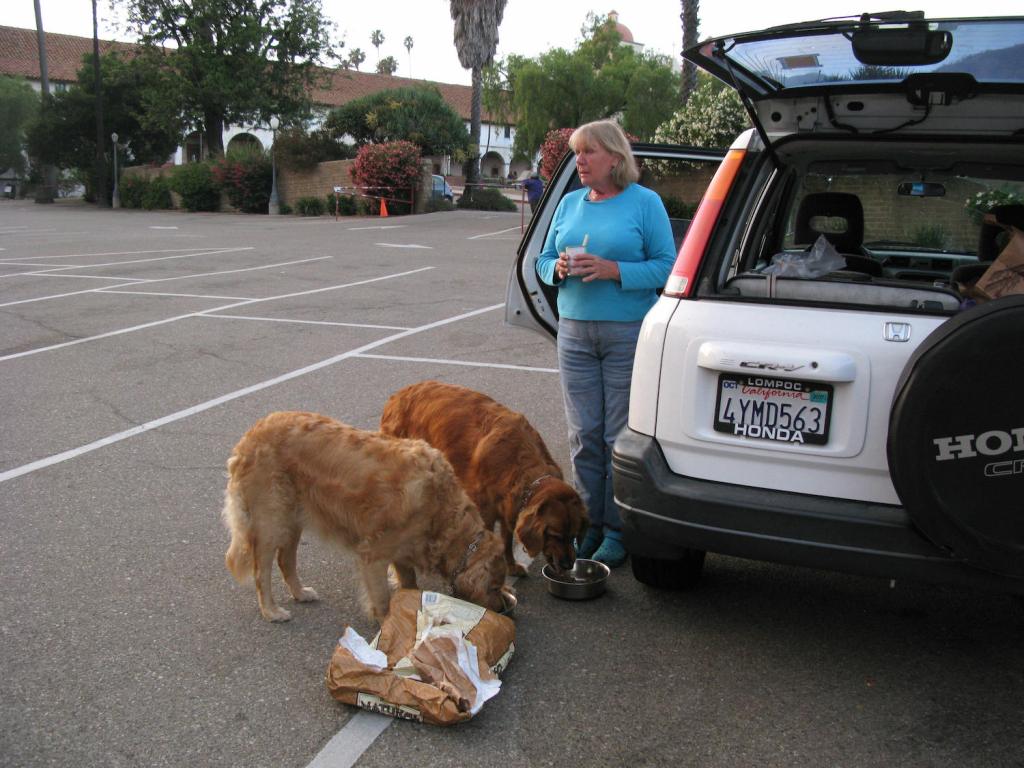 This is a woman living in her SUV full time A woman living in her SUV, with her dogs | ROBYN BECK/AFP via Getty Images