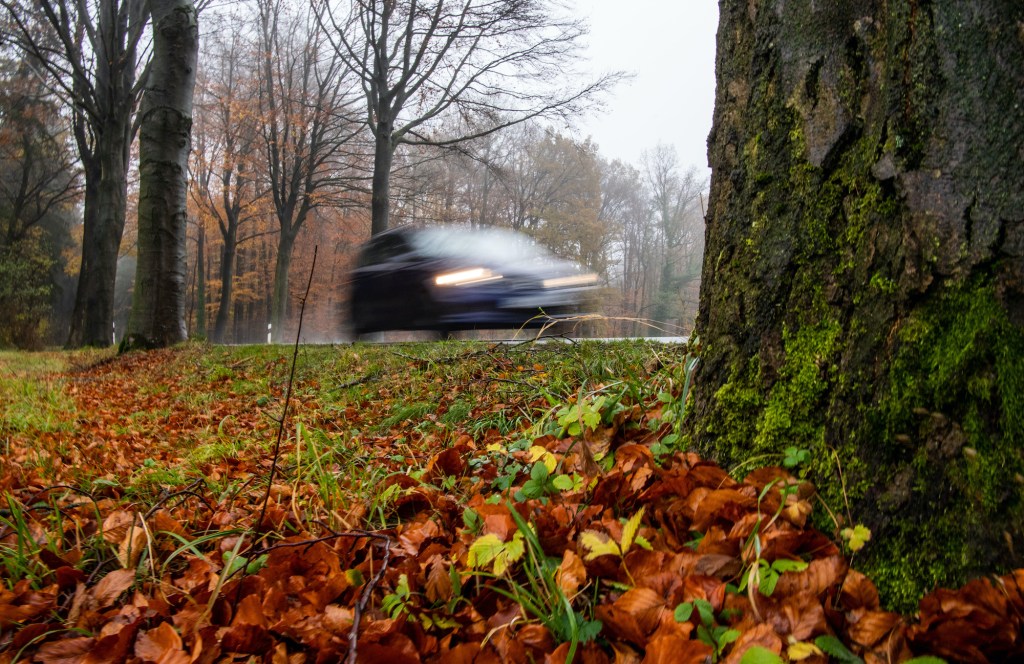 A car drives into an autumn-colored forest on a rain-soaked country road
