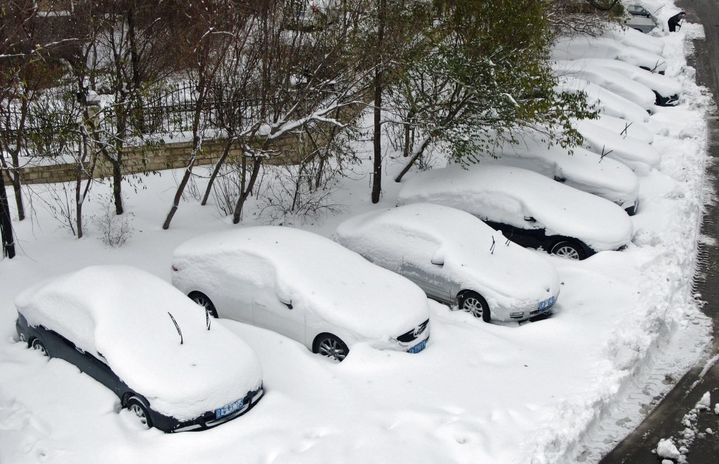 A group of cars covered in snow.