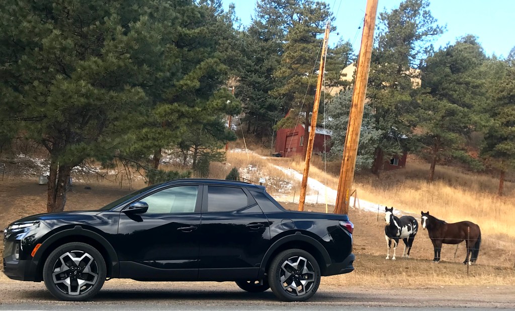 The 2022 Hyundai Santa Cruz posed on the side of the road next to horses.
