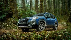 The 2022 Subaru Forester Wilderness compact SUV with a light blue teal color option parked within a wild forest