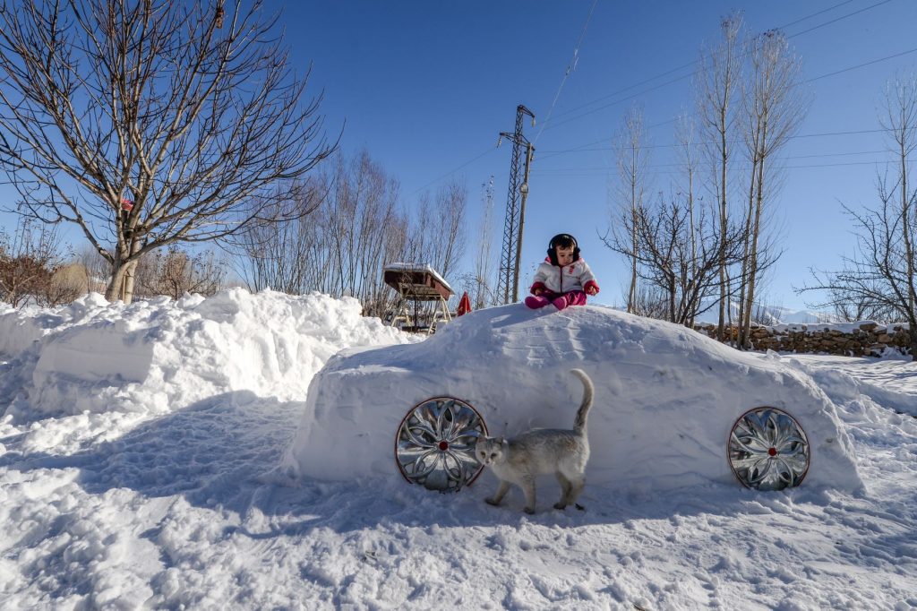 Cat walking by snow car, highlighting that it's dangerous for cats and dogs to ride in cars in cold winter weather